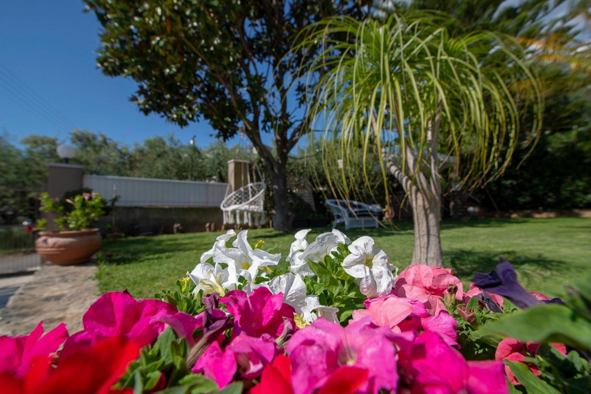 Le Jardin Apartment Kalamata Exterior photo